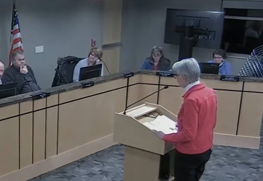 Shannon Bruce stands at a lectern, presenting documents to a council in a meeting room of officials.